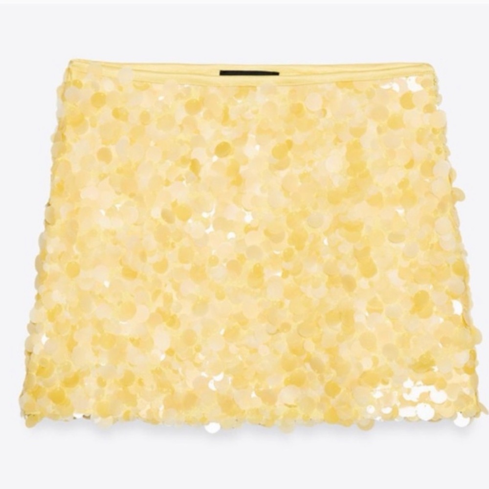ZARA SEQUIN SKIRT